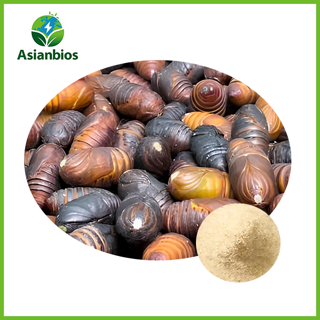 Silkworm Pupa Peptide